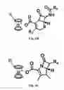 Fig. 07 - Anion-paired cationic metallocene-containing compounds and polymers as antimicrobial agents