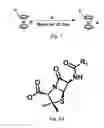 Fig. 08 - Anion-paired cationic metallocene-containing compounds and polymers as antimicrobial agents
