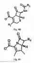 Fig. 09 - Anion-paired cationic metallocene-containing compounds and polymers as antimicrobial agents