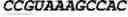 Fig. 08 - Reduction of off-target RNA interference toxicity