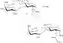 Fig. 22 - Preparation and Use of Isolactosamine and Intermediates therefor