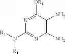 Fig. 216 - Methods for Synthesizing Molybdopterin Precursor Z Derivatives