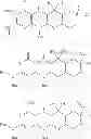 Fig. 77 - Methods for Synthesizing Molybdopterin Precursor Z Derivatives