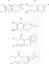 Fig. 90 - Methods for Synthesizing Molybdopterin Precursor Z Derivatives