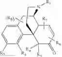 Fig. 02 - Process for the synthesis of substituted morphinans