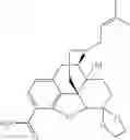 Fig. 41 - Process for the synthesis of substituted morphinans