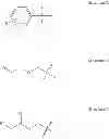 Fig. 07 - VINYL MONOMERS HAVING CHELATING FUNCTIONALITY