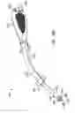Fig. 17 - Illuminated suction apparatus