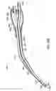 Fig. 21 - Illuminated suction apparatus