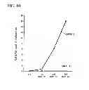 Fig. 07 - Conductive polymer fibers, method and device for producing conductive polymer fibers, biological electrode, device for measuring biological signals, implantable electrode, and device for measuring biological signals
