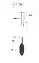 Fig. 35 - Conductive polymer fibers, method and device for producing conductive polymer fibers, biological electrode, device for measuring biological signals, implantable electrode, and device for measuring biological signals