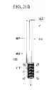 Fig. 40 - Conductive polymer fibers, method and device for producing conductive polymer fibers, biological electrode, device for measuring biological signals, implantable electrode, and device for measuring biological signals