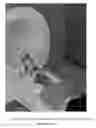 Fig. 01 - Magnetic Resonance Based Method for Assessing Alzheimer's Disease and Related Pathologies