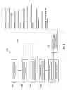 Fig. 04 - Systems and methods for numerically evaluating vasculature