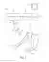 Fig. 02 - APPARATUS AND METHOD FOR DETERMINING RESPIRATION SIGNALS FROM A SUBJECT