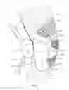 Fig. 04 - Functional knit orthopedic device