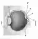 Fig. 58 - IMPLANTS WITH CONTROLLED DRUG DELIVERY FEATURES AND METHODS OF USING SAME