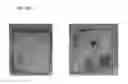 Fig. 02 - LASER ASSISTED DELIVERY OF FUNCTIONAL CELLS, PEPTIDES AND NUCLEOTIDES