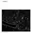Fig. 03 - LASER ASSISTED DELIVERY OF FUNCTIONAL CELLS, PEPTIDES AND NUCLEOTIDES
