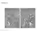 Fig. 16 - LASER ASSISTED DELIVERY OF FUNCTIONAL CELLS, PEPTIDES AND NUCLEOTIDES