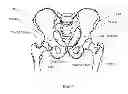 Fig. 02 - METHOD AND APPARATUS FOR DETERMINING THE ORIENTATION AND/OR POSITION OF AN OBJECT DURING A MEDICAL PROCEDURE