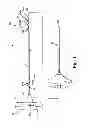 Fig. 02 - Device and method for delivering a curable material into bone
