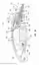 Fig. 10 - Expandable needle suture apparatus and associated handle assembly