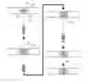 Fig. 01 - VASCULAR ANASTOMOSIS DEVICE USING A SELF-EXPANDABLE MATERIAL OR BODY, AND ANASTOMOSIS METHOD FOR BLOOD VESSELS USING SAME