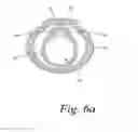 Fig. 07 - Lancet-release mechanism