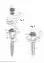 Fig. 02 - Locking device for locking a rod-shaped element in a receiving part of a bone anchor and bone anchor with such a locking device