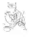 Fig. 09 - TREATMENT OF SEXUAL DYSFUNCTION