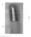 Fig. 07 - Microfabricated neurostimulation device