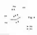 Fig. 07 - Method for matching queries with answer items in a knowledge base