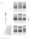Fig. 06 - Discovering and presenting décor harmonized with a décor style