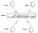 Fig. 01 - Scalable object storage using multicast transport