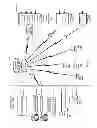 Fig. 06 - Systems and methods for a media playout card