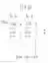 Fig. 05 - Variable length encoding in a storage system