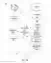 Fig. 05 - Authentication and binding of multiple devices