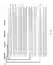 Fig. 04 - KEY/VALUE STORAGE DEVICE AND METHOD