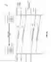 Fig. 05 - Fabric multipathing based on dynamic latency-based calculations