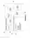 Fig. 06 - Packaging, distributing, presenting, and using multi-asset electronic content