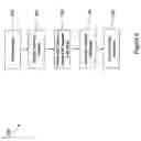 Fig. 06 - Systems and Methods for Creating Web Pages Based on User Modification of Rich Internet Application Content
