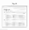 Fig. 29 - Method and system to capture, share and find information and relationships