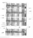Fig. 08 - System and method for displaying and editing digitally sampled audio data