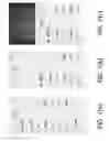 Fig. 09 - PAGE RETURNING