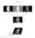 Fig. 09 - Skin diagnostic and image processing systems, apparatus and articles
