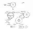 Fig. 01 - Method for automatic extraction of design from standard source code