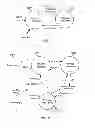 Fig. 09 - Method for automatic extraction of design from standard source code