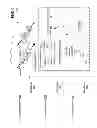 Fig. 02 - Systems and methods for implementing a uniform application user interface across a multi-tenant environment