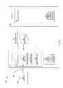 Fig. 09 - System and method for secure remote access to a service on a server computer